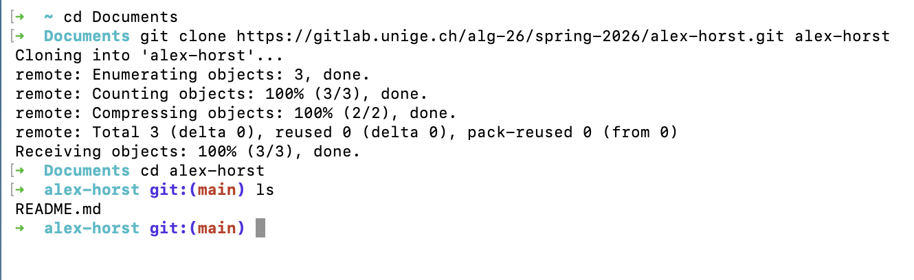 Cloning an existing repository